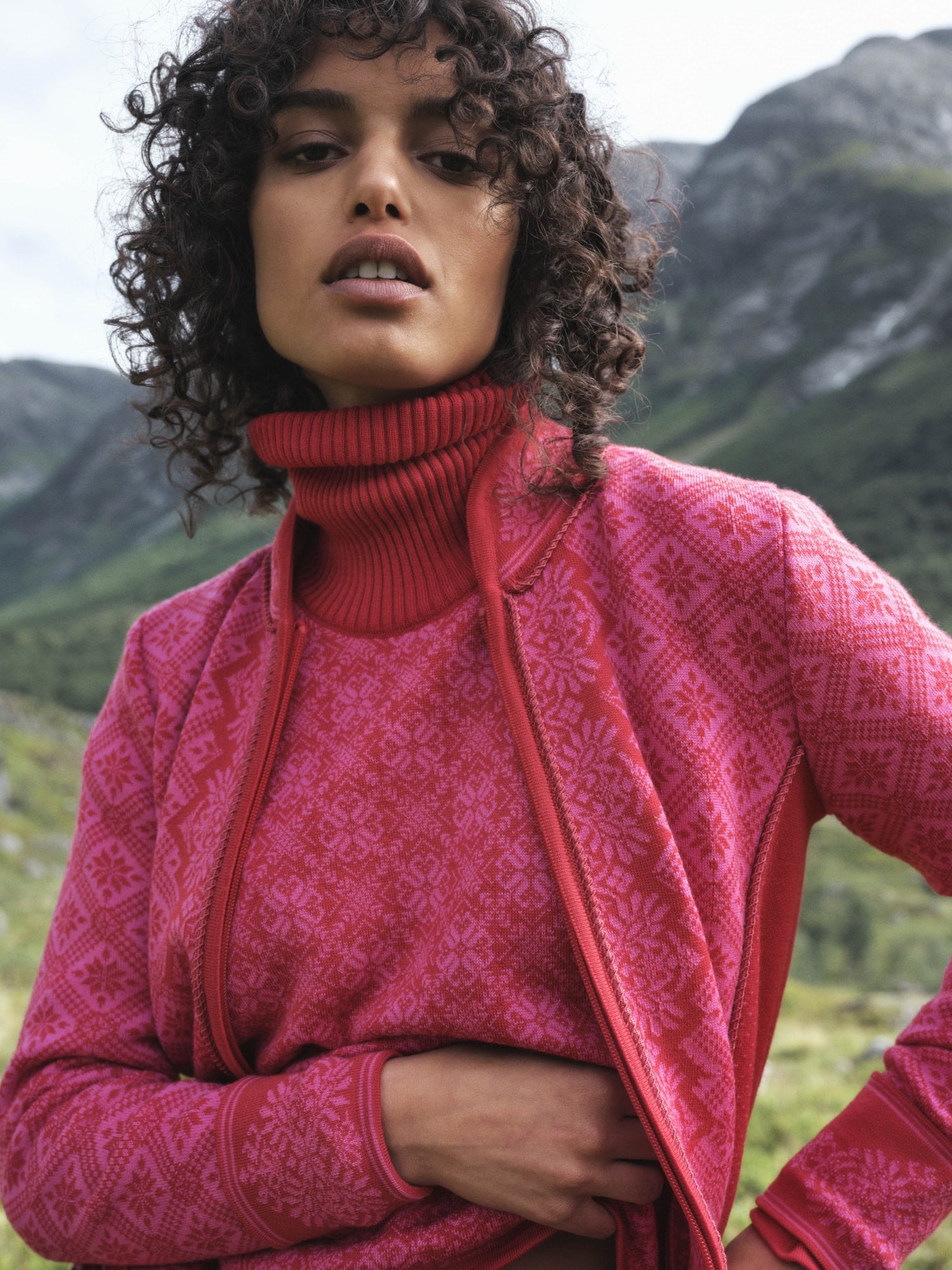 Dale of Norway Firda Fem Sweater Raspberry Allium