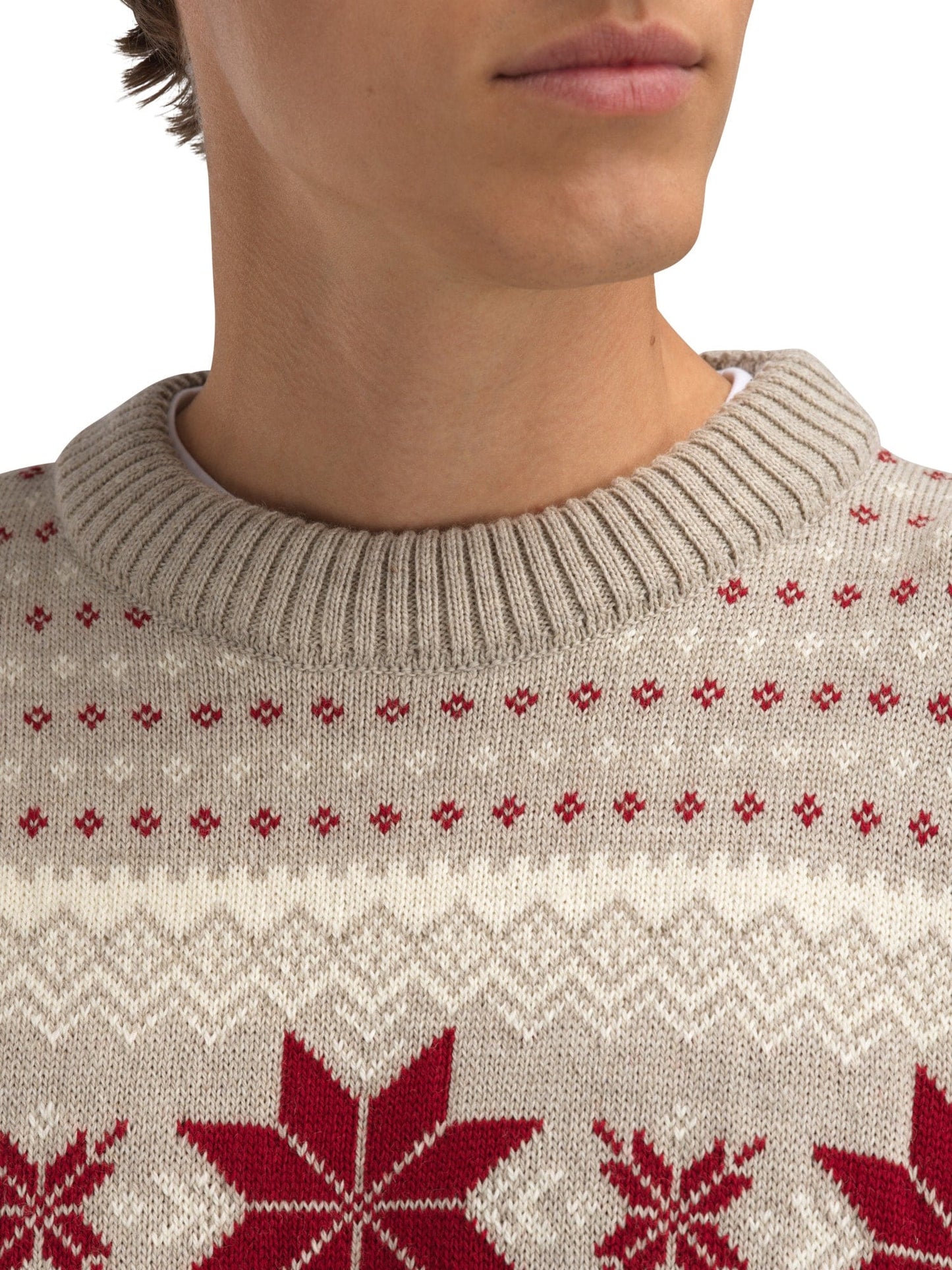Dale of Norway Egersund Men's sweater Sand Mel. Off White Red Rose