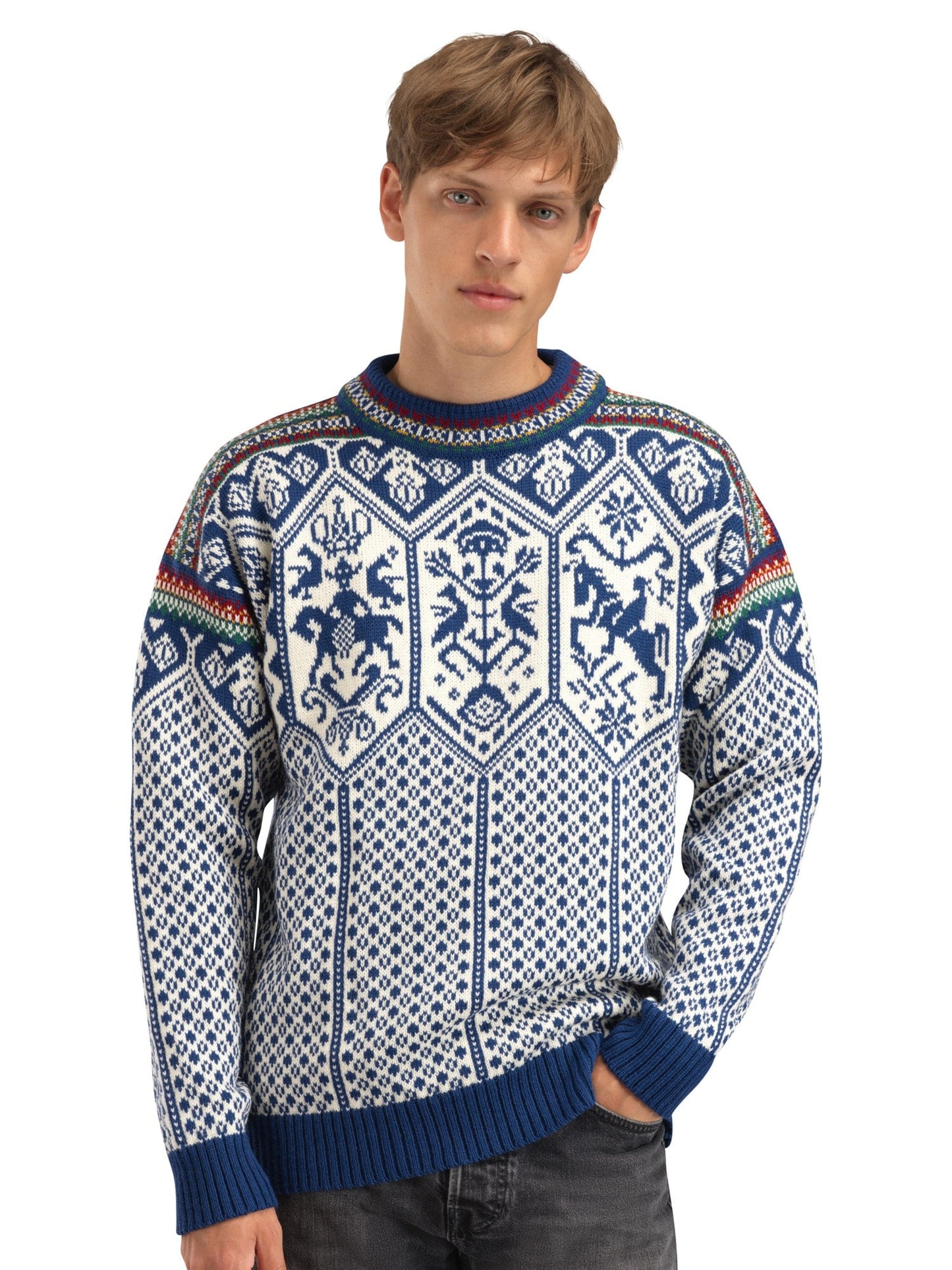Dale of Norway 1994 Masculine Sweater Indigo Mustard Botttlegreen