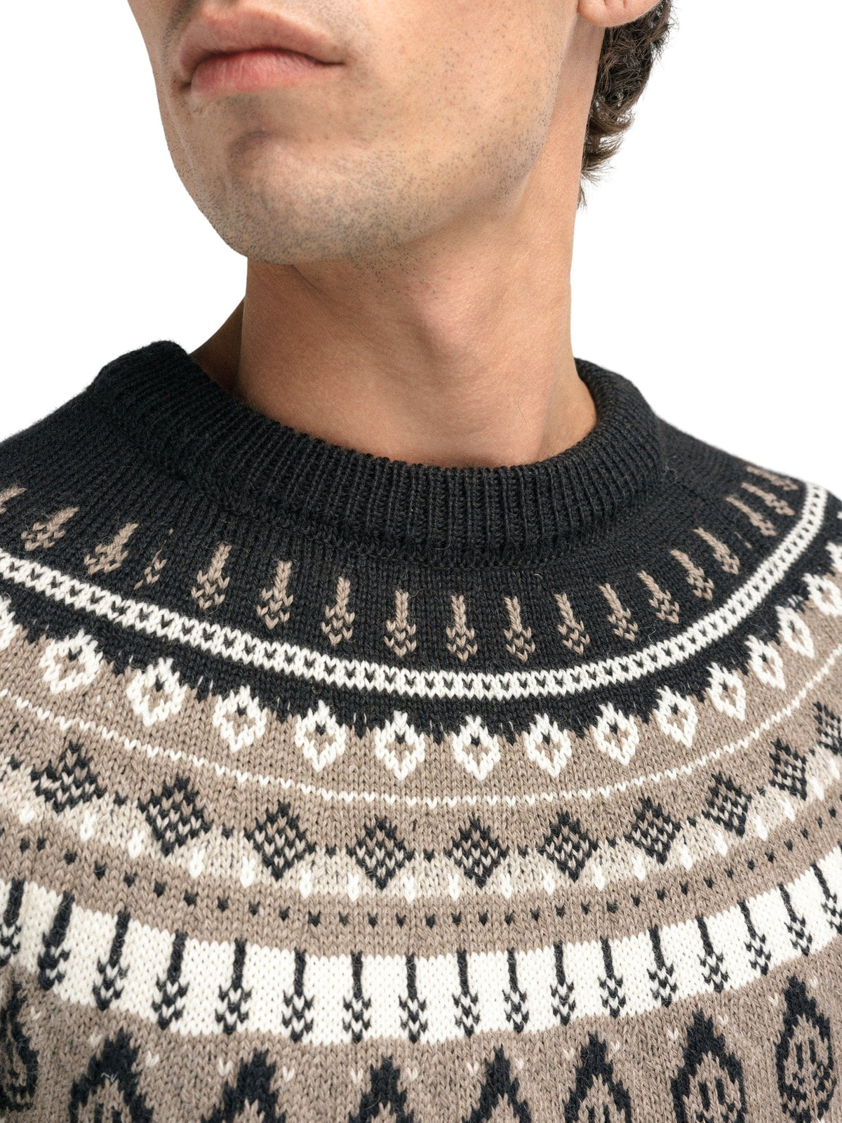 Dale of Norway Sula Men's Sweater