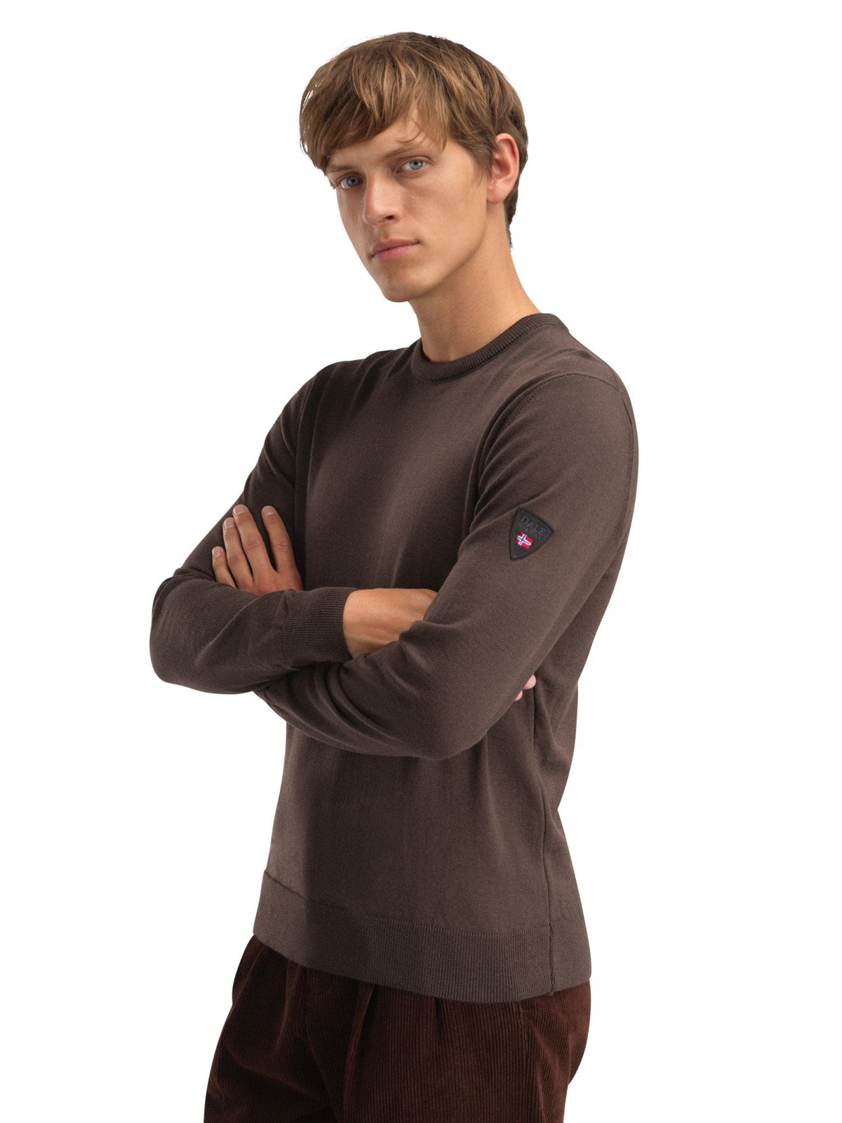 Dale of Norway Magnus Masc Sweater Ciocollata